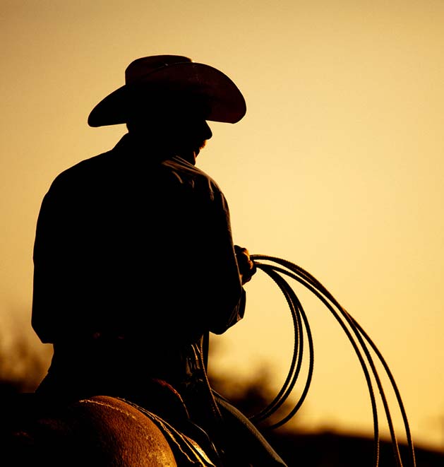 Brawley Cattle Call Rodeo & Parade