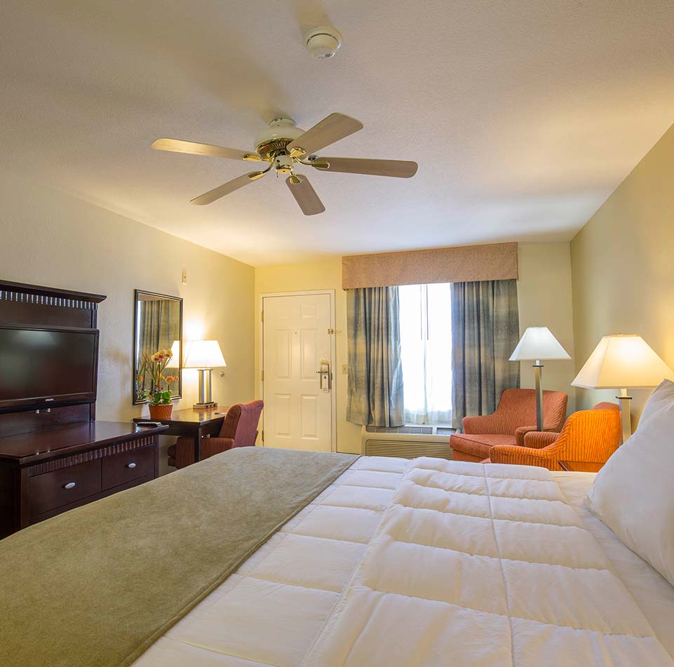 King Room